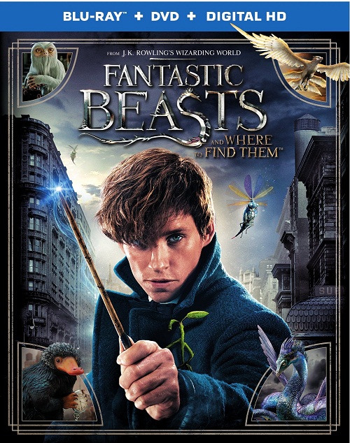 Fantastic Beasts and Where to Find Them (2016) 720p BluRay x264[Hindi-Cam+English]