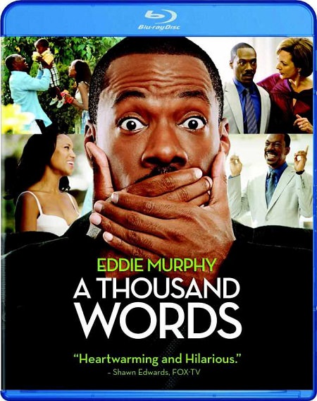 A Thousand Words (2012) 720p BluRay x264 Esub [Dual Audio] [Hindi+English] - GOPISAHI